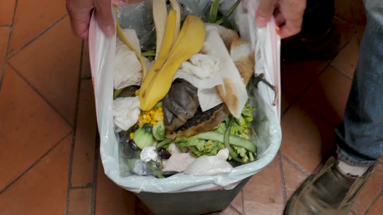 Same-Day Junk Removal Services in Buckhead Ridge, FL